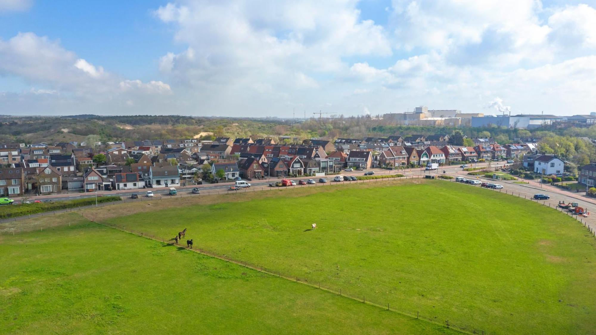 Wijkiki Surf House Daire Wijk aan Zee Dış mekan fotoğraf